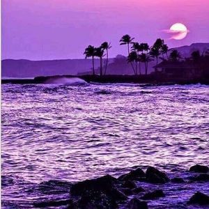 Meet your Posher, Carol